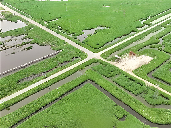 打造綠色低碳油田 做綠色發展的“頂梁柱”